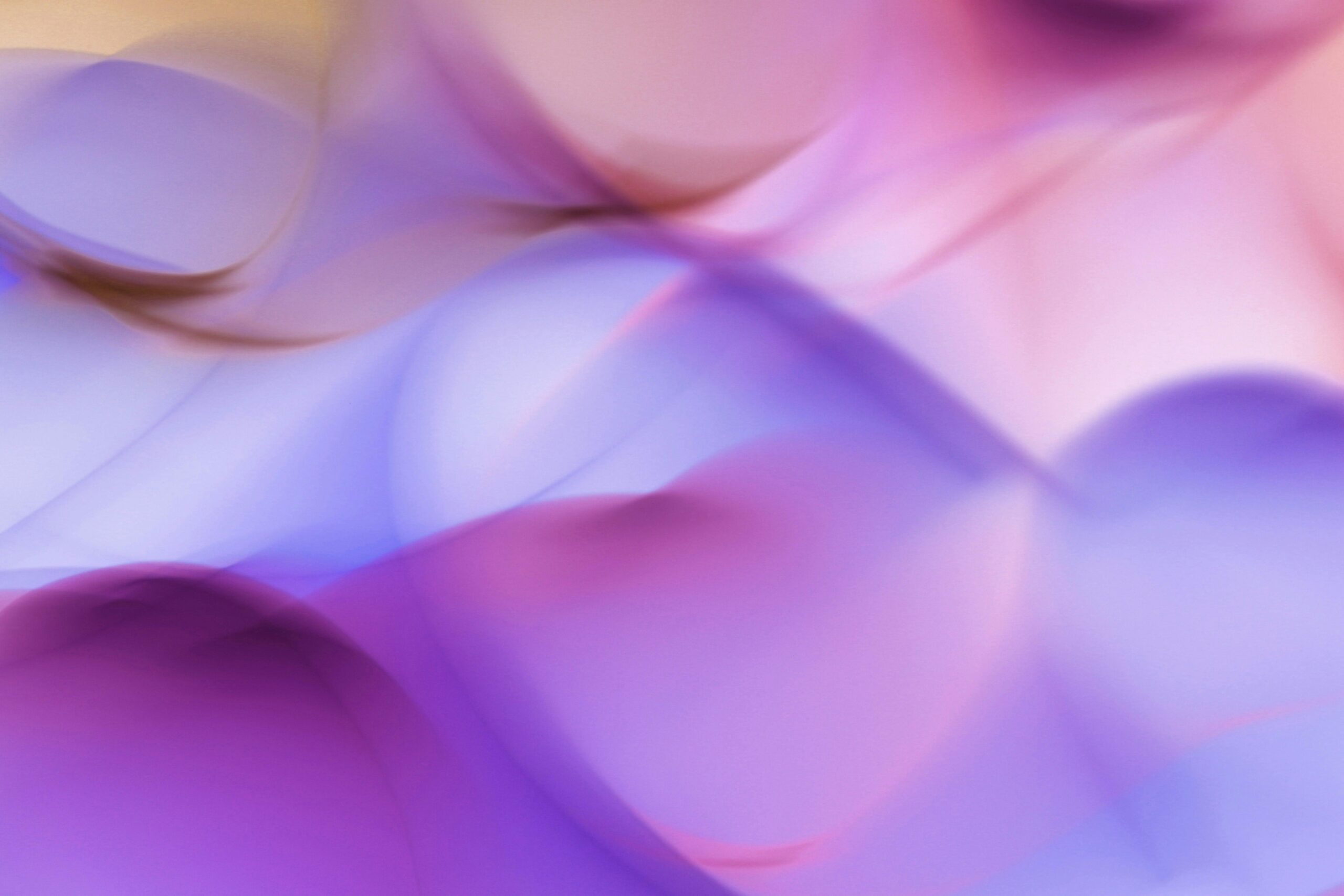 fondo
