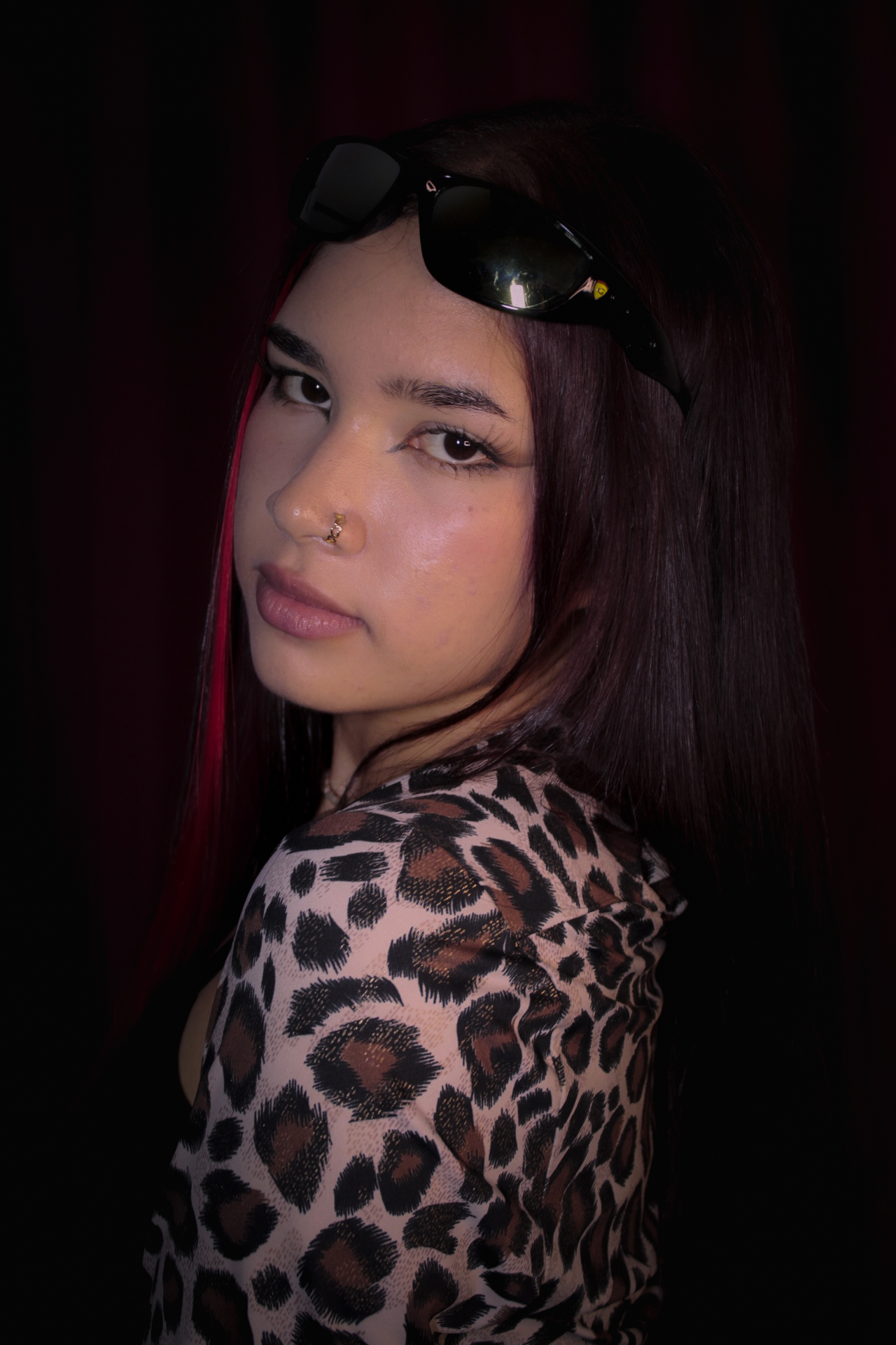 Modelo